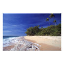 Suche nach fiji poster Urlaub