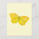Suche nach schmetterlingsflügel postkarten Gelb