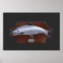 Suche nach coho poster Lachs