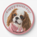 Suche nach hundeliebhaber teller Tier