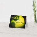 Suche nach tomatoe karten Fotografie