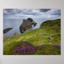 Suche nach bog poster Blume