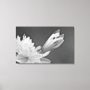 Suche nach fehler leinwandbilder Schmetterling