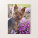 Suche nach yorkshires puzzle Hund