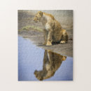 Suche nach afrika puzzle Löwin