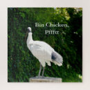 Suche nach augen spielzeug spiele Vogelvogel