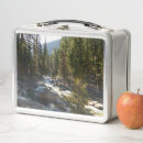 Suche nach wildnis brotdosen Wald