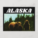 Suche nach grizzly postkarten Alaska