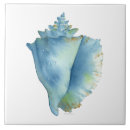 Suche nach seashell fliesen Blau