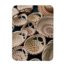 Suche nach south carolina magnete Stadt