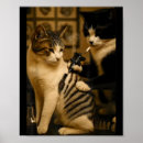 Suche nach vintage katzen poster Lustig