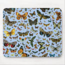 Suche nach schmetterlinge und motten mousepads Raupe