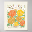 Suche nach seed poster Blume