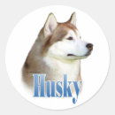 Suche nach siberian husky aufkleber Huskies
