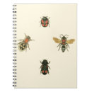Suche nach käfer kleine notizbücher Natur