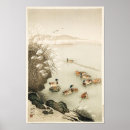 Suche nach enten poster Vögel