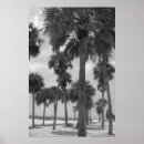 Suche nach palm tree poster Florida