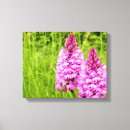 Suche nach rosa orchidee leinwandbilder Elegant