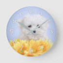 Suche nach maltesische waren wanduhren Weiß