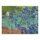 Suche nach schwertlilie poster Iris
