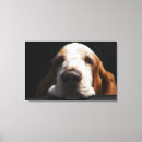 Suche nach basset leinwandbilder Jagdhund