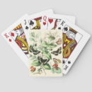 Suche nach garten spielkarten Schmetterlinge