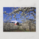 Suche nach obstgarten postkarten Ernte
