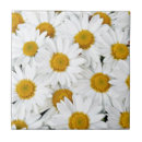 Suche nach gänseblümchen fliesen Weiß