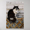 Suche nach tom katze poster Katzenkatze