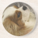 Suche nach cocker spaniel untersetzer Hund