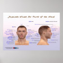 Suche nach judo poster Karate