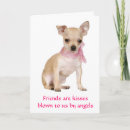 Suche nach hunde engel karten Chihuahua