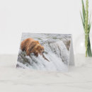 Suche nach braunbär karten Alaska