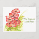 Suche nach begonie Aquarell