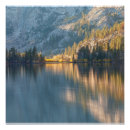 Suche nach licht und schatten poster Natur
