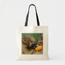 Suche nach abstand taschen Tiere