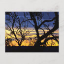 Suche nach orange himmel postkarten Natur