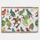 Suche nach papagei decken Paradies