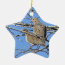Suche nach beklagentaube Vogel