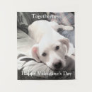 Suche nach kleiner weißer hund poster Hundefreund