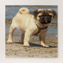 Suche nach niedlicher hund puzzle Rätsel