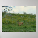 Suche nach kitz poster Hirsch