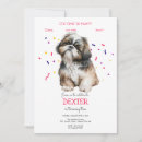 Suche nach shih tzu hunde postkarten Dogs