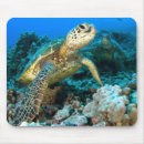 Suche nach hawaii schildkröte alle mousepads Tauchen