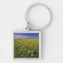 Suche nach nordost accessoires Landschaft