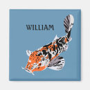 Suche nach koi magnete Goldfisch