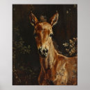 Suche nach niedliches pferd poster Baby