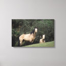 Suche nach mustang leinwandbilder Reittier