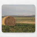Suche nach heu mousepads Ernte