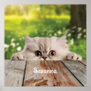 Suche nach persische katze poster Tier